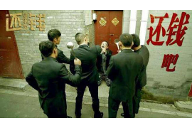 柘城融资清欠服务